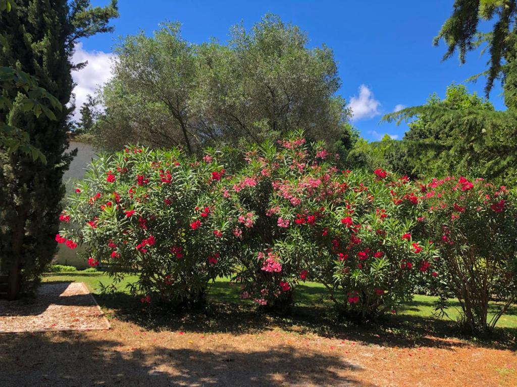 Bed and Breakfast Le Nid Des Corbieres Bizanet Экстерьер фото